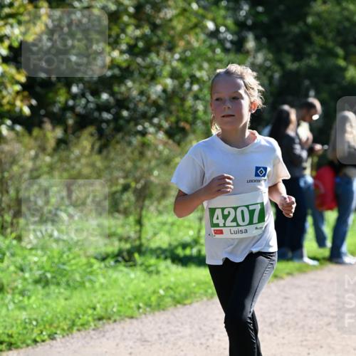 27.09.2026 - 35. Volkslauf durch das schöne Alstertal Dr. Thomas Lammeyer http://msf.ph/oto/10568261 27.09.2026 10:51:28 Laufen 4207 meine-sportfotos.de
