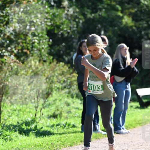 27.09.2026 - 35. Volkslauf durch das schöne Alstertal Dr. Thomas Lammeyer http://msf.ph/oto/10568272 27.09.2026 10:51:32 Laufen 4103 meine-sportfotos.de