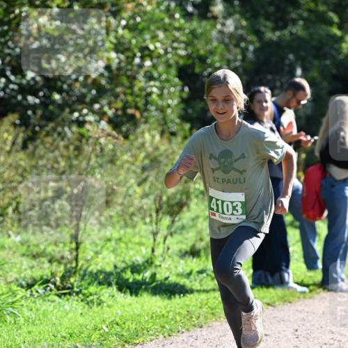27.09.2026 - 35. Volkslauf durch das schöne Alstertal Dr. Thomas Lammeyer http://msf.ph/oto/10568274 27.09.2026 10:51:32 Laufen 4103 meine-sportfotos.de