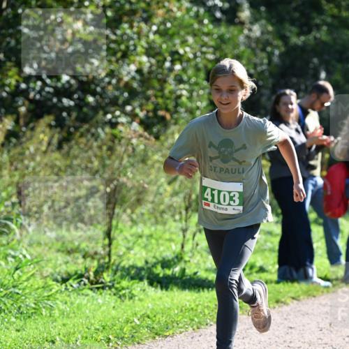 27.09.2026 - 35. Volkslauf durch das schöne Alstertal Dr. Thomas Lammeyer http://msf.ph/oto/10568275 27.09.2026 10:51:32 Laufen 4103 meine-sportfotos.de