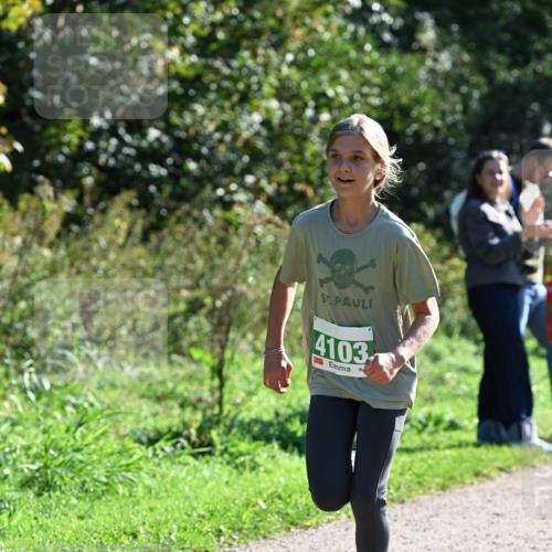 27.09.2026 - 35. Volkslauf durch das schöne Alstertal Dr. Thomas Lammeyer http://msf.ph/oto/10568276 27.09.2026 10:51:32 Laufen 4103 meine-sportfotos.de