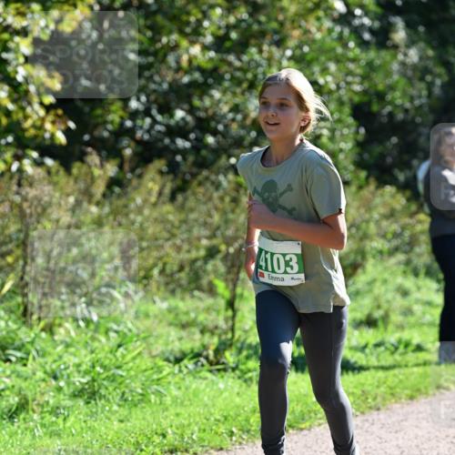 27.09.2026 - 35. Volkslauf durch das schöne Alstertal Dr. Thomas Lammeyer http://msf.ph/oto/10568277 27.09.2026 10:51:32 Laufen 4103 meine-sportfotos.de