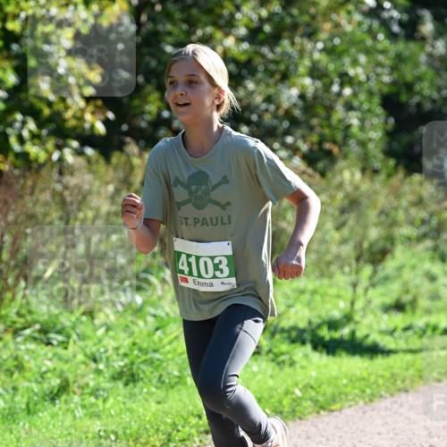 27.09.2026 - 35. Volkslauf durch das schöne Alstertal Dr. Thomas Lammeyer http://msf.ph/oto/10568279 27.09.2026 10:51:32 Laufen 4103 meine-sportfotos.de