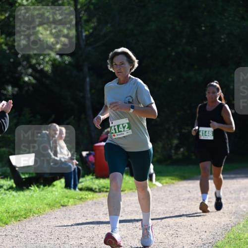 27.09.2026 - 35. Volkslauf durch das schöne Alstertal Dr. Thomas Lammeyer http://msf.ph/oto/10568282 27.09.2026 10:51:35 Laufen 4142, 4148 meine-sportfotos.de