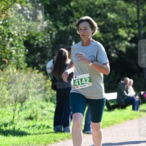 27.09.2026 - 35. Volkslauf durch das schöne Alstertal Dr. Thomas Lammeyer http://msf.ph/oto/10568293 27.09.2026 10:51:36 Laufen 4142 meine-sportfotos.de