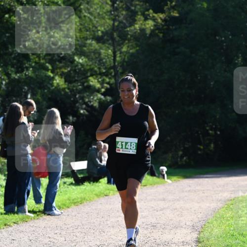 27.09.2026 - 35. Volkslauf durch das schöne Alstertal Dr. Thomas Lammeyer http://msf.ph/oto/10568300 27.09.2026 10:51:37 Laufen 4148 meine-sportfotos.de