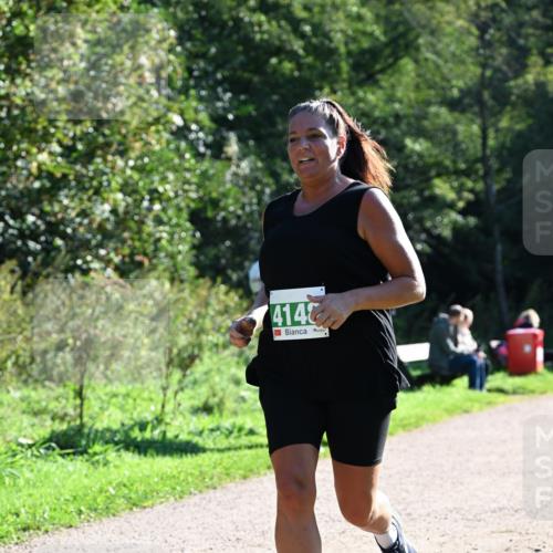 27.09.2026 - 35. Volkslauf durch das schöne Alstertal Dr. Thomas Lammeyer http://msf.ph/oto/10568308 27.09.2026 10:51:39 Laufen 414 meine-sportfotos.de