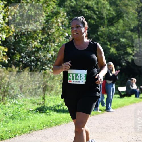 27.09.2026 - 35. Volkslauf durch das schöne Alstertal Dr. Thomas Lammeyer http://msf.ph/oto/10568310 27.09.2026 10:51:39 Laufen 4148 meine-sportfotos.de