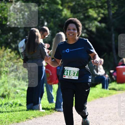 27.09.2026 - 35. Volkslauf durch das schöne Alstertal Dr. Thomas Lammeyer http://msf.ph/oto/10568332 27.09.2026 10:51:48 Laufen 4187 meine-sportfotos.de