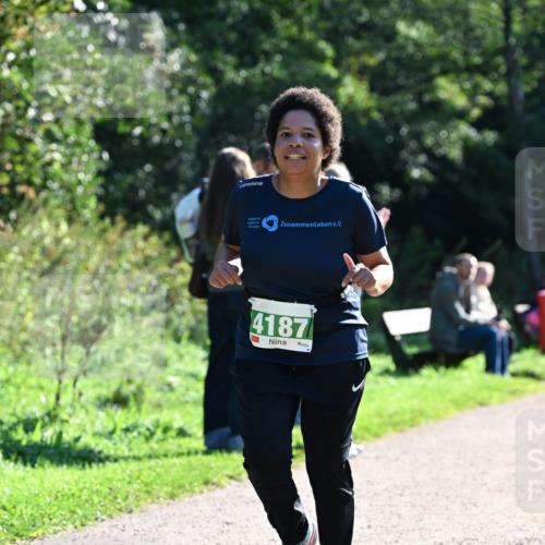 27.09.2026 - 35. Volkslauf durch das schöne Alstertal Dr. Thomas Lammeyer http://msf.ph/oto/10568335 27.09.2026 10:51:49 Laufen 4187 meine-sportfotos.de