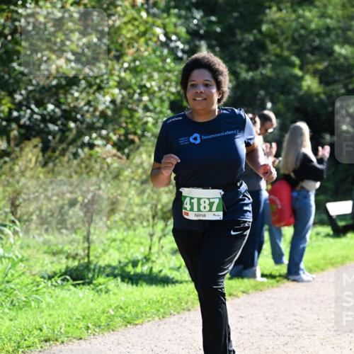 27.09.2026 - 35. Volkslauf durch das schöne Alstertal Dr. Thomas Lammeyer http://msf.ph/oto/10568338 27.09.2026 10:51:49 Laufen 4187 meine-sportfotos.de