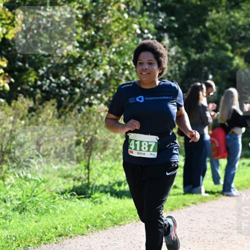 27.09.2026 - 35. Volkslauf durch das schöne Alstertal Dr. Thomas Lammeyer http://msf.ph/oto/10568339 27.09.2026 10:51:49 Laufen 4187 meine-sportfotos.de