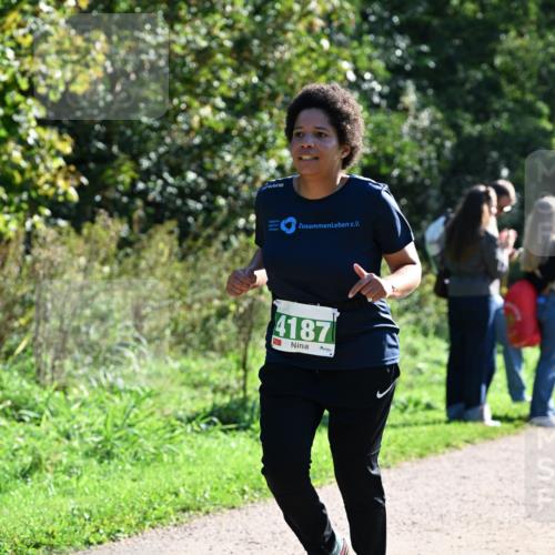 27.09.2026 - 35. Volkslauf durch das schöne Alstertal Dr. Thomas Lammeyer http://msf.ph/oto/10568340 27.09.2026 10:51:49 Laufen 4187 meine-sportfotos.de