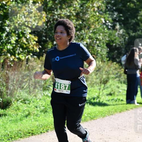 27.09.2026 - 35. Volkslauf durch das schöne Alstertal Dr. Thomas Lammeyer http://msf.ph/oto/10568342 27.09.2026 10:51:49 Laufen 4187 meine-sportfotos.de