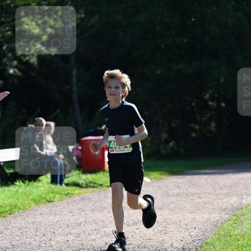 27.09.2026 - 35. Volkslauf durch das schöne Alstertal Dr. Thomas Lammeyer http://msf.ph/oto/10568343 27.09.2026 10:51:51 Laufen 40 meine-sportfotos.de