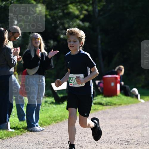 27.09.2026 - 35. Volkslauf durch das schöne Alstertal Dr. Thomas Lammeyer http://msf.ph/oto/10568348 27.09.2026 10:51:52 Laufen 40 meine-sportfotos.de