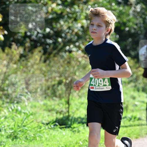 27.09.2026 - 35. Volkslauf durch das schöne Alstertal Dr. Thomas Lammeyer http://msf.ph/oto/10568353 27.09.2026 10:51:53 Laufen 4094 meine-sportfotos.de
