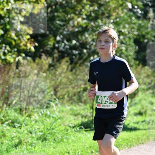 27.09.2026 - 35. Volkslauf durch das schöne Alstertal Dr. Thomas Lammeyer http://msf.ph/oto/10568354 27.09.2026 10:51:53 Laufen 409 meine-sportfotos.de