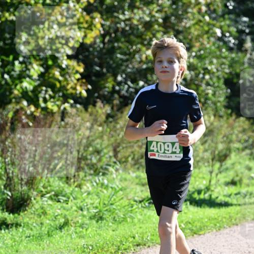 27.09.2026 - 35. Volkslauf durch das schöne Alstertal Dr. Thomas Lammeyer http://msf.ph/oto/10568355 27.09.2026 10:51:53 Laufen 4094 meine-sportfotos.de