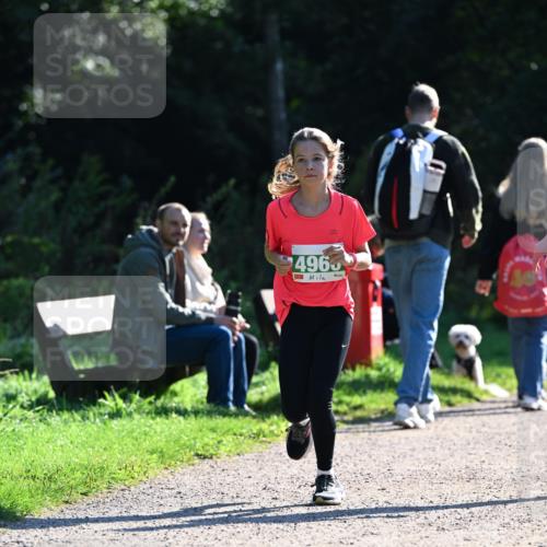 27.09.2026 - 35. Volkslauf durch das schöne Alstertal Dr. Thomas Lammeyer http://msf.ph/oto/10568359 27.09.2026 10:52:18 Laufen 496 meine-sportfotos.de