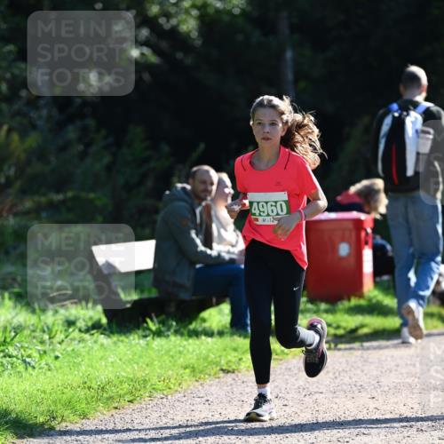 27.09.2026 - 35. Volkslauf durch das schöne Alstertal Dr. Thomas Lammeyer http://msf.ph/oto/10568361 27.09.2026 10:52:18 Laufen 4960 meine-sportfotos.de