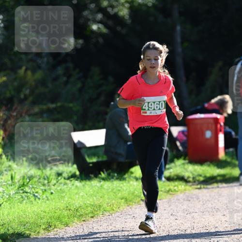 27.09.2026 - 35. Volkslauf durch das schöne Alstertal Dr. Thomas Lammeyer http://msf.ph/oto/10568363 27.09.2026 10:52:19 Laufen 4960 meine-sportfotos.de