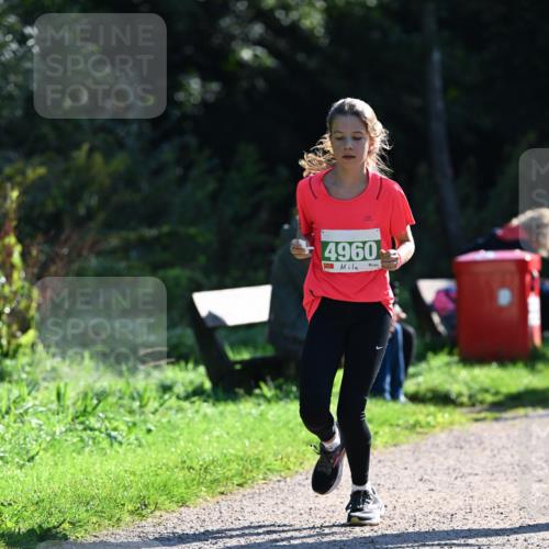 27.09.2026 - 35. Volkslauf durch das schöne Alstertal Dr. Thomas Lammeyer http://msf.ph/oto/10568364 27.09.2026 10:52:19 Laufen 4960 meine-sportfotos.de
