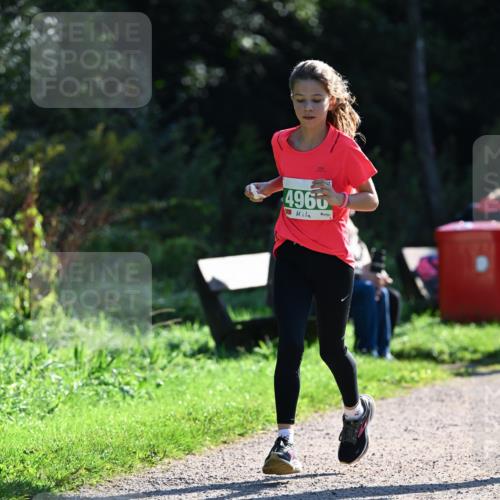 27.09.2026 - 35. Volkslauf durch das schöne Alstertal Dr. Thomas Lammeyer http://msf.ph/oto/10568365 27.09.2026 10:52:19 Laufen 4960 meine-sportfotos.de