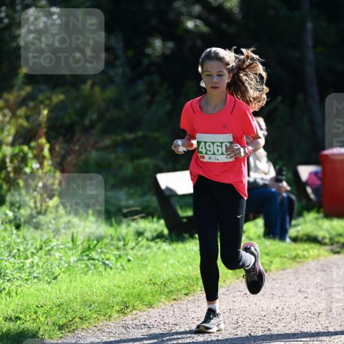27.09.2026 - 35. Volkslauf durch das schöne Alstertal Dr. Thomas Lammeyer http://msf.ph/oto/10568366 27.09.2026 10:52:19 Laufen 4960 meine-sportfotos.de