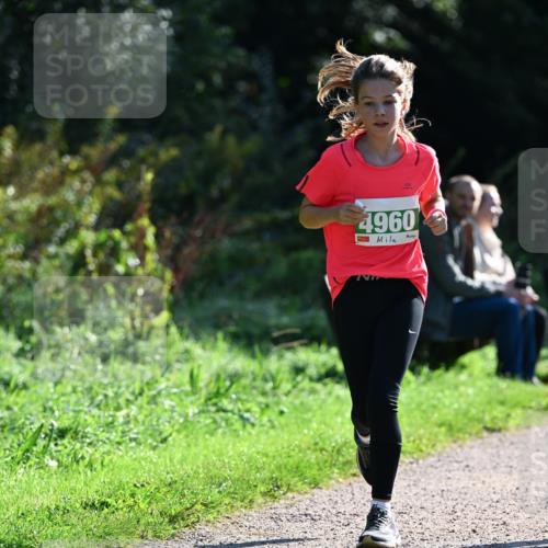 27.09.2026 - 35. Volkslauf durch das schöne Alstertal Dr. Thomas Lammeyer http://msf.ph/oto/10568368 27.09.2026 10:52:19 Laufen 4960 meine-sportfotos.de
