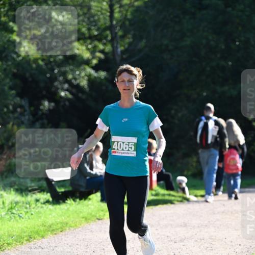 27.09.2026 - 35. Volkslauf durch das schöne Alstertal Dr. Thomas Lammeyer http://msf.ph/oto/10568373 27.09.2026 10:52:20 Laufen 4065 meine-sportfotos.de