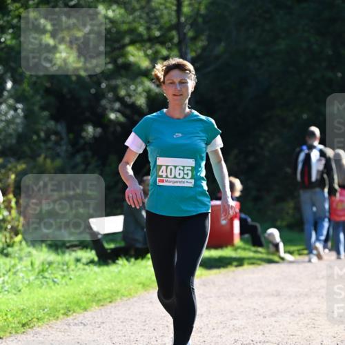 27.09.2026 - 35. Volkslauf durch das schöne Alstertal Dr. Thomas Lammeyer http://msf.ph/oto/10568375 27.09.2026 10:52:21 Laufen 4065 meine-sportfotos.de
