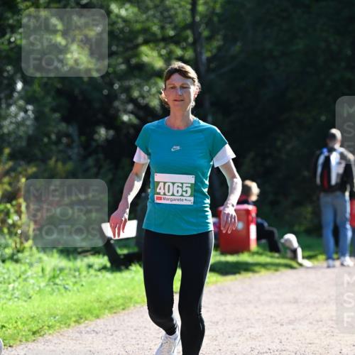 27.09.2026 - 35. Volkslauf durch das schöne Alstertal Dr. Thomas Lammeyer http://msf.ph/oto/10568376 27.09.2026 10:52:21 Laufen 4065 meine-sportfotos.de
