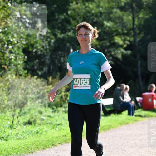 27.09.2026 - 35. Volkslauf durch das schöne Alstertal Dr. Thomas Lammeyer http://msf.ph/oto/10568383 27.09.2026 10:52:22 Laufen 4065 meine-sportfotos.de