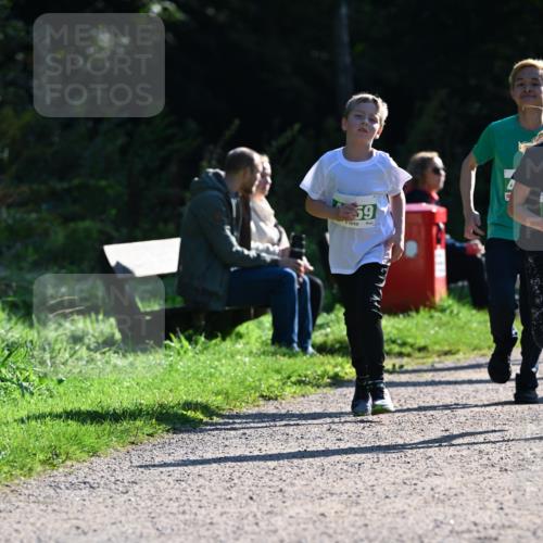 27.09.2026 - 35. Volkslauf durch das schöne Alstertal Dr. Thomas Lammeyer http://msf.ph/oto/10568391 27.09.2026 10:52:36 Laufen 59 meine-sportfotos.de