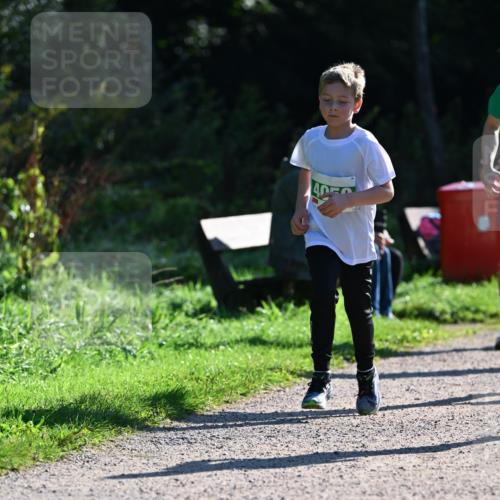 27.09.2026 - 35. Volkslauf durch das schöne Alstertal Dr. Thomas Lammeyer http://msf.ph/oto/10568398 27.09.2026 10:52:37 Laufen  meine-sportfotos.de