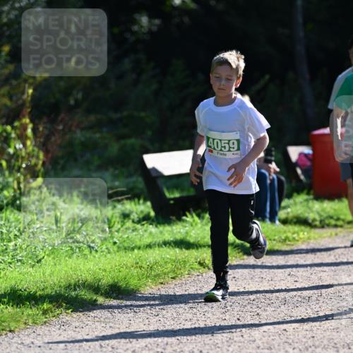 27.09.2026 - 35. Volkslauf durch das schöne Alstertal Dr. Thomas Lammeyer http://msf.ph/oto/10568399 27.09.2026 10:52:37 Laufen 4059 meine-sportfotos.de