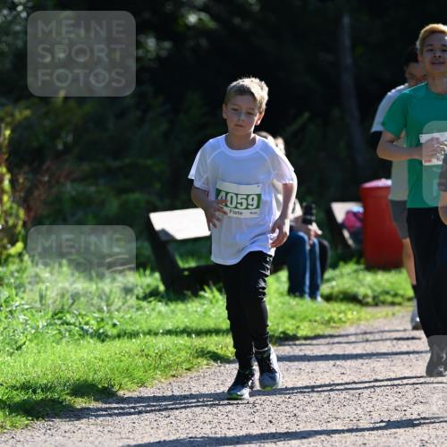 27.09.2026 - 35. Volkslauf durch das schöne Alstertal Dr. Thomas Lammeyer http://msf.ph/oto/10568400 27.09.2026 10:52:37 Laufen 4059 meine-sportfotos.de
