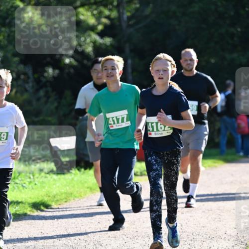 27.09.2026 - 35. Volkslauf durch das schöne Alstertal Dr. Thomas Lammeyer http://msf.ph/oto/10568406 27.09.2026 10:52:38 Laufen 59, 4177, 416 meine-sportfotos.de