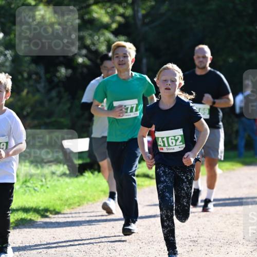 27.09.2026 - 35. Volkslauf durch das schöne Alstertal Dr. Thomas Lammeyer http://msf.ph/oto/10568407 27.09.2026 10:52:38 Laufen 9, 77, 4162 meine-sportfotos.de