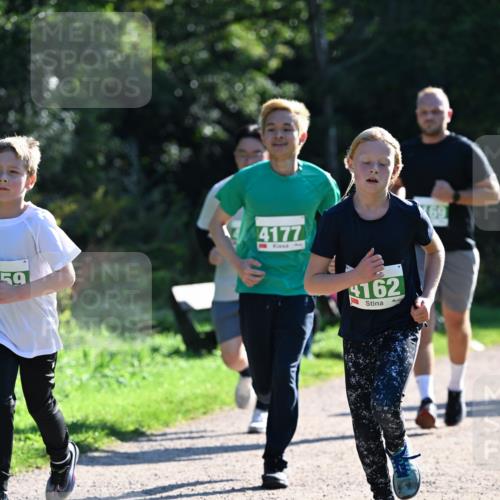 27.09.2026 - 35. Volkslauf durch das schöne Alstertal Dr. Thomas Lammeyer http://msf.ph/oto/10568408 27.09.2026 10:52:39 Laufen 59, 4177, 162 meine-sportfotos.de