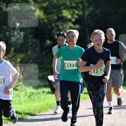 27.09.2026 - 35. Volkslauf durch das schöne Alstertal Dr. Thomas Lammeyer http://msf.ph/oto/10568409 27.09.2026 10:52:39 Laufen 9, 4177, 162 meine-sportfotos.de