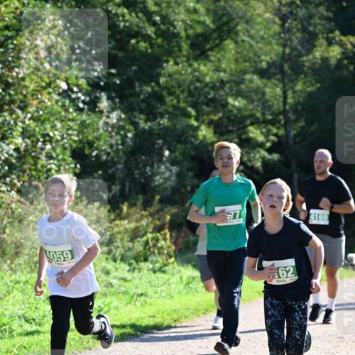 27.09.2026 - 35. Volkslauf durch das schöne Alstertal Dr. Thomas Lammeyer http://msf.ph/oto/10568411 27.09.2026 10:52:39 Laufen 059, 77, 4169, 62 meine-sportfotos.de