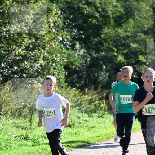27.09.2026 - 35. Volkslauf durch das schöne Alstertal Dr. Thomas Lammeyer http://msf.ph/oto/10568412 27.09.2026 10:52:39 Laufen 059, 4177, 4162 meine-sportfotos.de