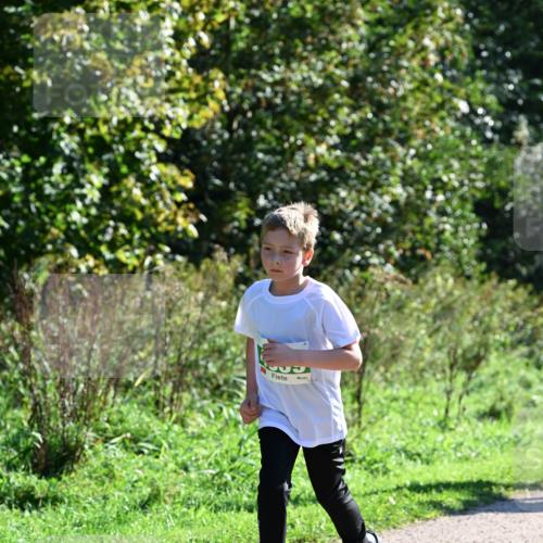 27.09.2026 - 35. Volkslauf durch das schöne Alstertal Dr. Thomas Lammeyer http://msf.ph/oto/10568414 27.09.2026 10:52:40 Laufen  meine-sportfotos.de