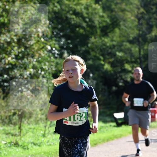 27.09.2026 - 35. Volkslauf durch das schöne Alstertal Dr. Thomas Lammeyer http://msf.ph/oto/10568415 27.09.2026 10:52:40 Laufen 162 meine-sportfotos.de