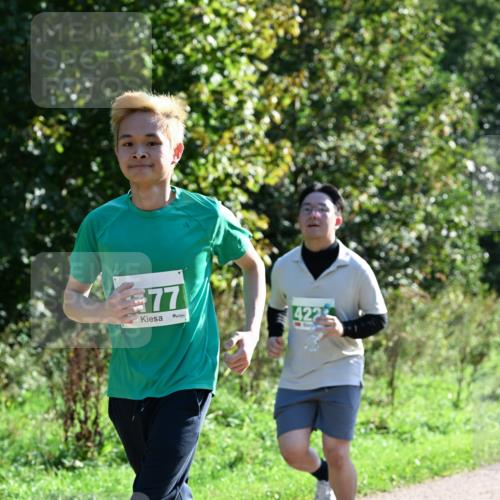 27.09.2026 - 35. Volkslauf durch das schöne Alstertal Dr. Thomas Lammeyer http://msf.ph/oto/10568420 27.09.2026 10:52:41 Laufen 77 meine-sportfotos.de