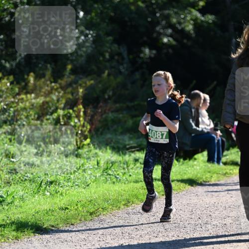 27.09.2026 - 35. Volkslauf durch das schöne Alstertal Dr. Thomas Lammeyer http://msf.ph/oto/10568425 27.09.2026 10:52:45 Laufen 4087 meine-sportfotos.de