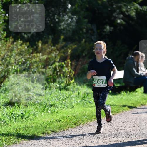 27.09.2026 - 35. Volkslauf durch das schöne Alstertal Dr. Thomas Lammeyer http://msf.ph/oto/10568427 27.09.2026 10:52:46 Laufen 4087 meine-sportfotos.de