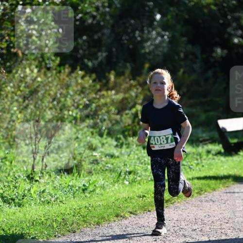 27.09.2026 - 35. Volkslauf durch das schöne Alstertal Dr. Thomas Lammeyer http://msf.ph/oto/10568431 27.09.2026 10:52:46 Laufen 4087 meine-sportfotos.de